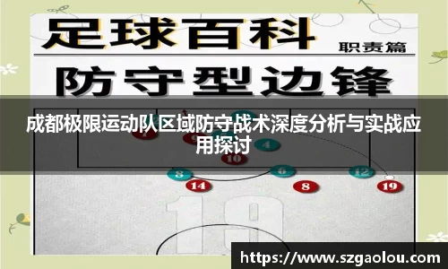 成都极限运动队区域防守战术深度分析与实战应用探讨