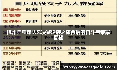 杭州乒乓球队总决赛逆袭之旅背后的奋斗与荣耀揭秘