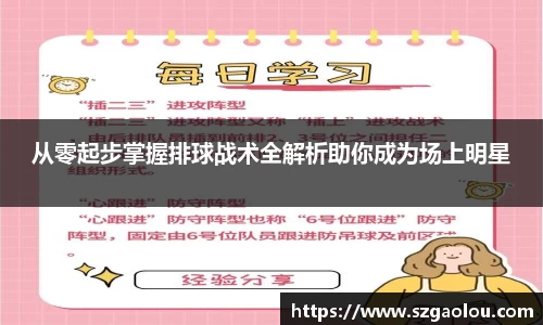从零起步掌握排球战术全解析助你成为场上明星